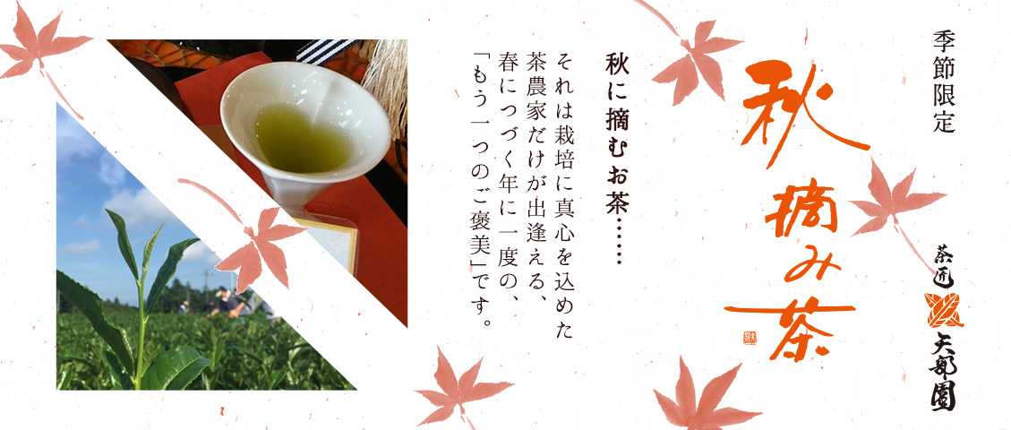 秋摘み茶