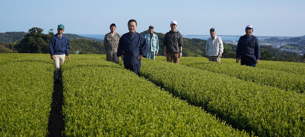 「煎茶の氷水仕立て」のおいしいつくり方