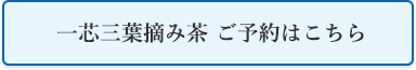 一芯三葉摘み茶 ご予約はこちら