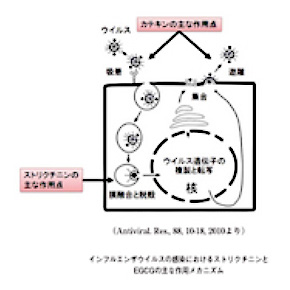 説明画像