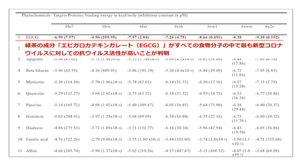 コロナ ガレート ガロ エピ カテキン 新型コロナウイルスに茶カテキンのエピガロカテキンガレートEGCG？！