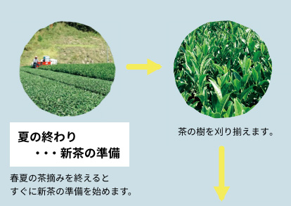 こだわりのお茶を求めて