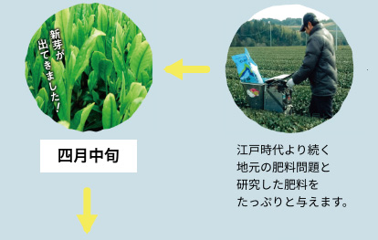 こだわりのお茶を求めて