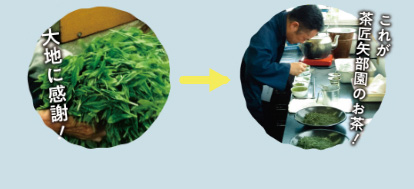 こだわりのお茶を求めて